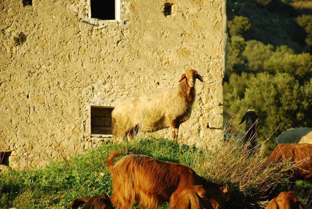 Experience Il Paesino Otel Licodia Eubea Dış mekan fotoğraf