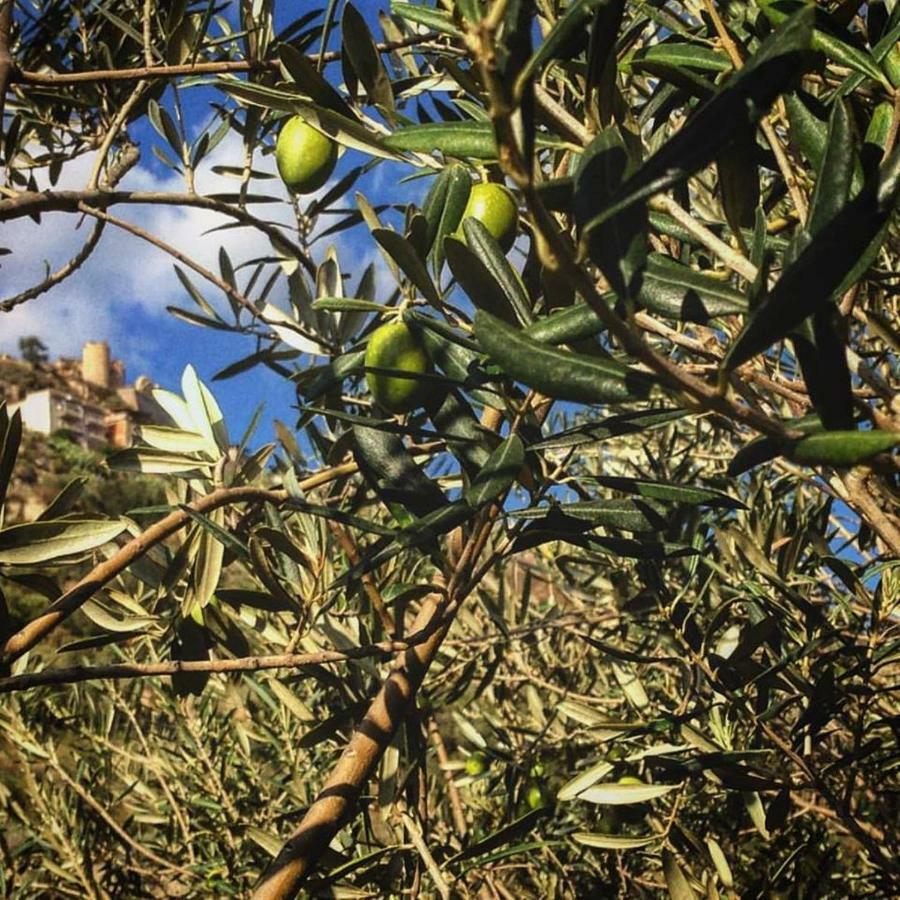 Experience Il Paesino Otel Licodia Eubea Dış mekan fotoğraf